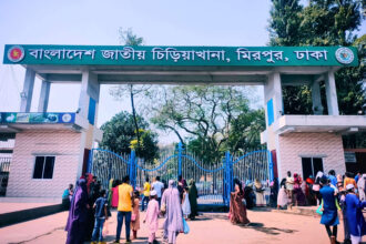 বাংলাদেশ জাতীয় চিড়িয়াখানা, ঢাকা - কুহুডাক