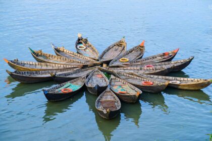 নৌকা - কুহুডাক শেকড়