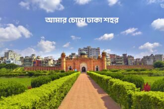 আমার চোখে ঢাকা শহর - GoArif