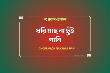 ধরি মাছ না ছুঁই পানি - কুহুডাক শেকড়