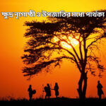 ক্ষুদ্র নৃগোষ্ঠী ও উপজাতির মধ্যে পার্থক্য - GoArif