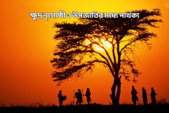 ক্ষুদ্র নৃগোষ্ঠী ও উপজাতির মধ্যে পার্থক্য - GoArif