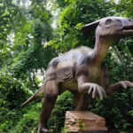ডাইনো পার্ক, কুমিল্লা - কুহুডাক