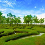 গুলিয়াখালী সমুদ্র সৈকত, সীতাকুণ্ড - কুহুডাক