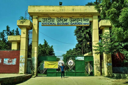 জাতীয় উদ্ভিদ উদ্যান, বাংলাদেশ - কুহুডাক