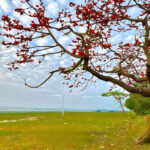ষাটনল পর্যটন কেন্দ্র, চাঁদপুর - কুহুডাক