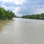 Sundarbans Travel Guide with Best Places to Visit - Kuhudak