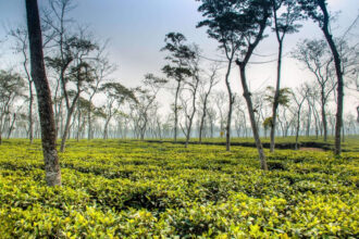 সিলেট জেলা - কুহুডাক