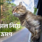 বিড়াল নিয়ে ভ্রমণ - কুহুডাক