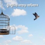 টুনটুনির পাহাড় অভিযান - GoArif
