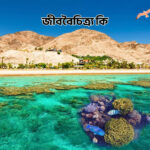 জীববৈচিত্র্য কি - GoArif