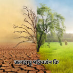 জলবায়ু পরিবর্তন কি - GoArif