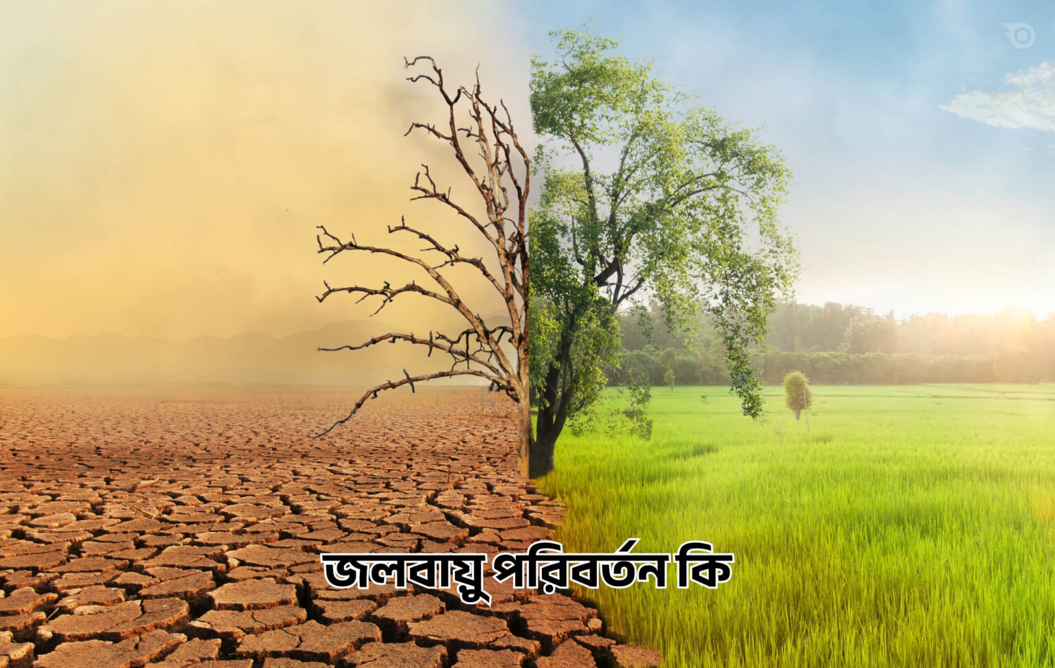 জলবায়ু পরিবর্তন কি - GoArif
