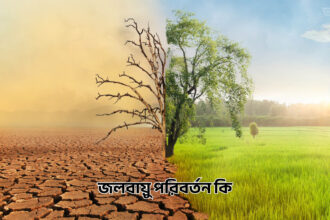 জলবায়ু পরিবর্তন কি - GoArif