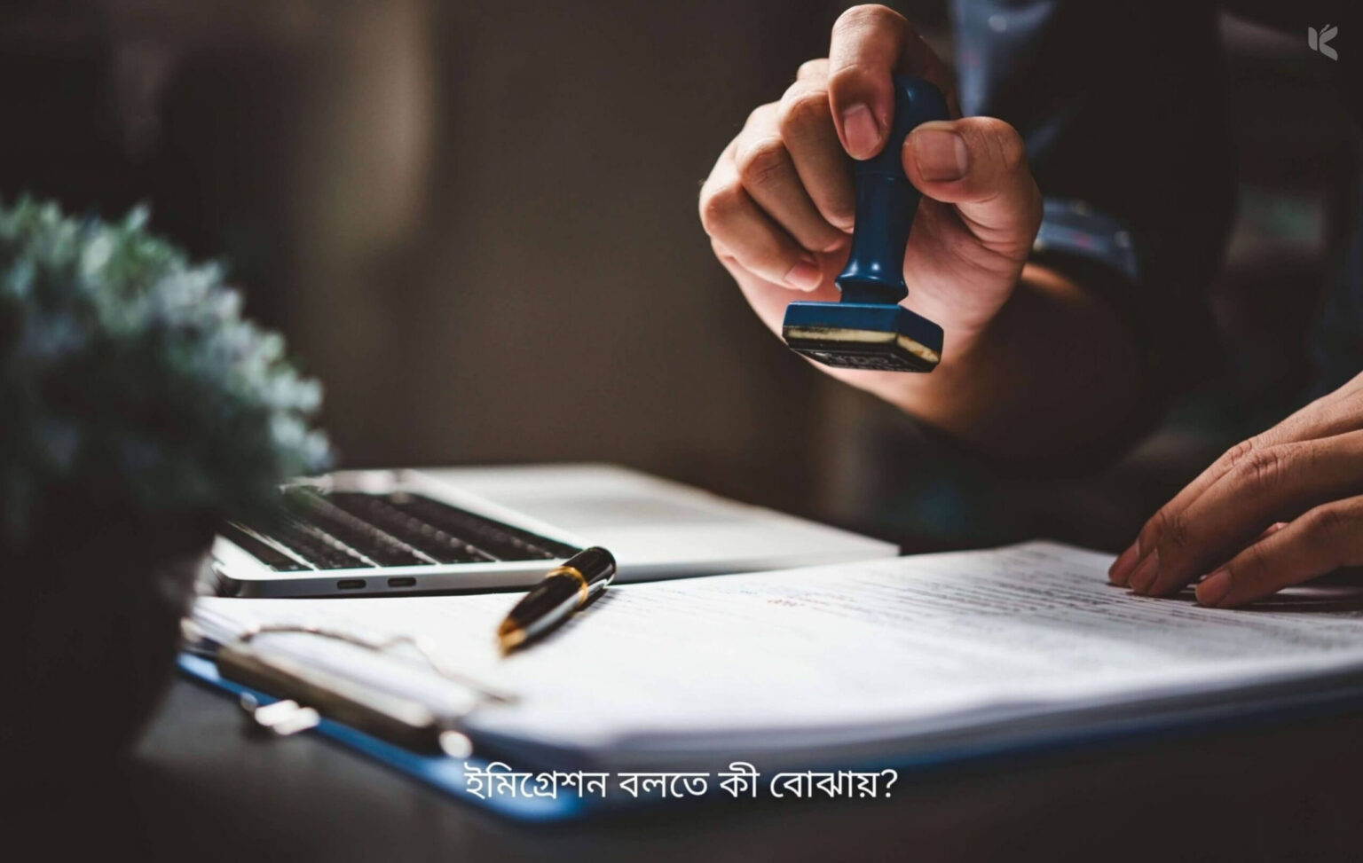 ইমিগ্রেশন বলতে কি বোঝায় - কুহুডাক