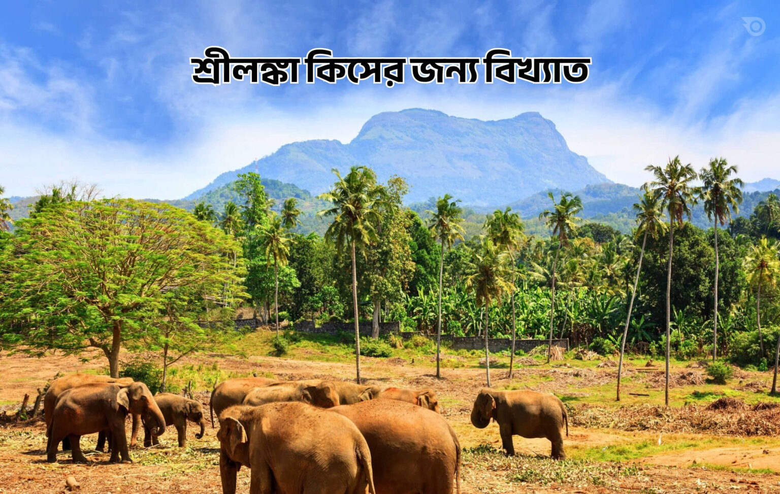 শ্রীলঙ্কা কিসের জন্য বিখ্যাত - GoArif