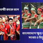 ক্ষুদ্র নৃগোষ্ঠী কাকে বলে - কুহুডাক