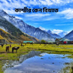 কাশ্মীর কেন বিখ্যাত - GoArif