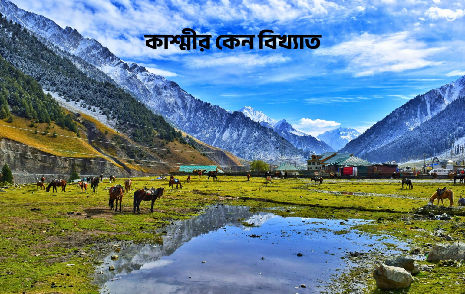 কাশ্মীর কেন বিখ্যাত - GoArif