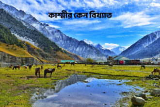 কাশ্মীর কেন বিখ্যাত - GoArif