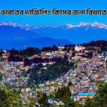 ভারতের দার্জিলিং কিসের জন্য বিখ্যাত - GoArif