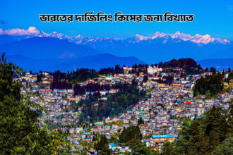 ভারতের দার্জিলিং কিসের জন্য বিখ্যাত - GoArif